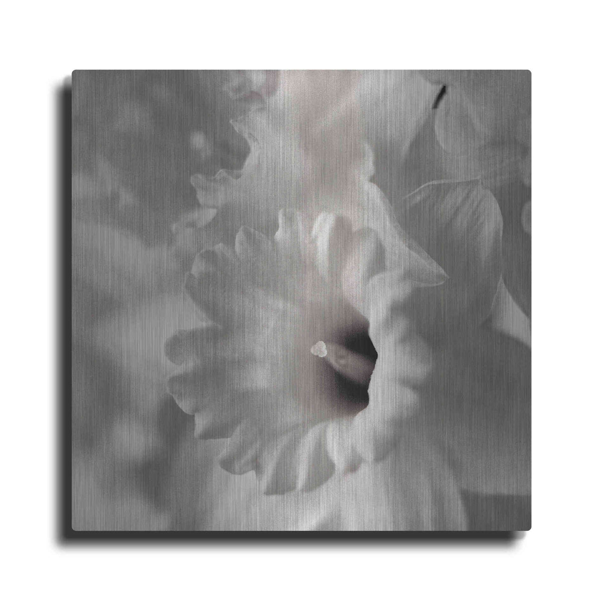 Luxe Metal Art 'Florison 45' by Alan Blaustein Metal Wall Art