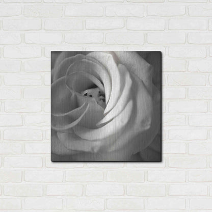 Luxe Metal Art 'Florison 43' by Alan Blaustein Metal Wall Art,24x24