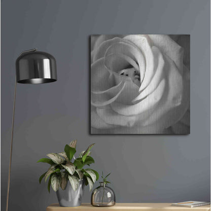 Luxe Metal Art 'Florison 43' by Alan Blaustein Metal Wall Art,24x24