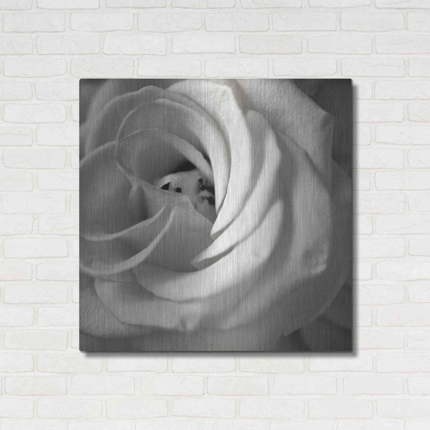 Luxe Metal Art 'Florison 43' by Alan Blaustein Metal Wall Art,36x36