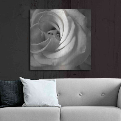 Luxe Metal Art 'Florison 43' by Alan Blaustein Metal Wall Art,36x36