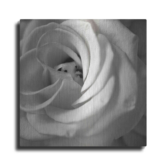 Luxe Metal Art 'Florison 43' by Alan Blaustein Metal Wall Art