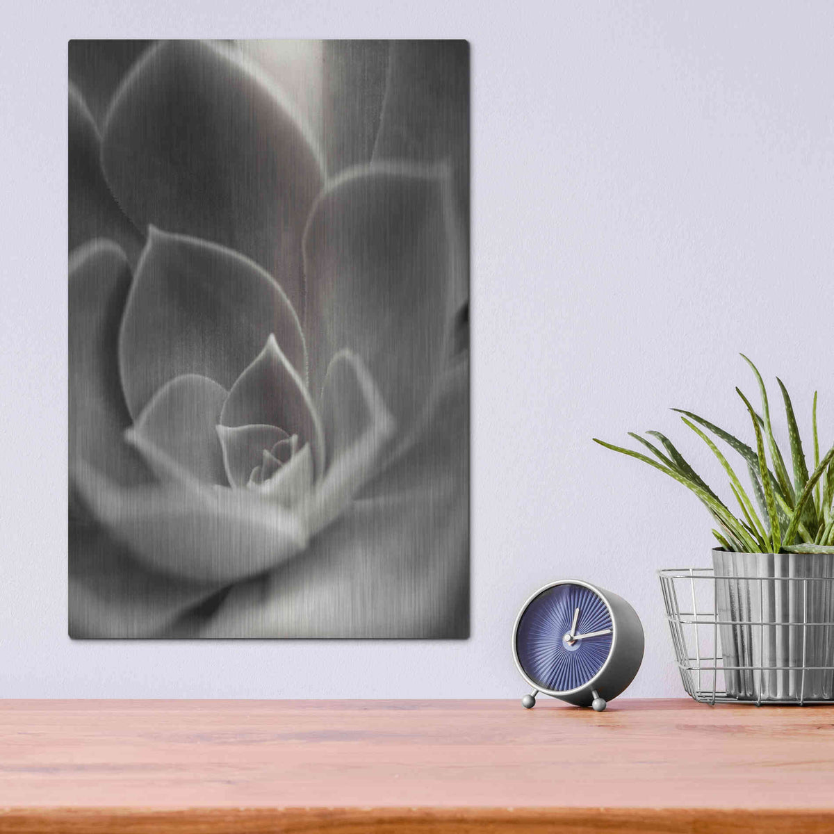 Luxe Metal Art 'Florison 25' by Alan Blaustein Metal Wall Art,12x16