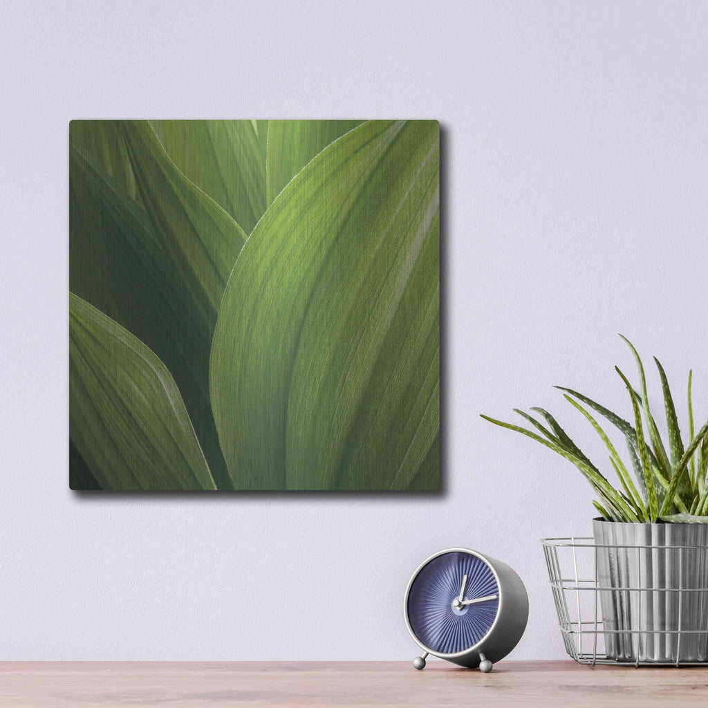 Luxe Metal Art 'Corn Lily' by Jan Bell Metal Wall Art,12x12