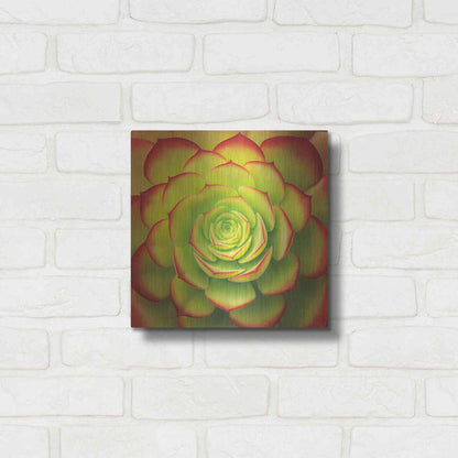 Luxe Metal Art 'Fiery Succulent' by Jan Bell Metal Wall Art,12x12