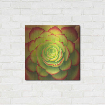 Luxe Metal Art 'Fiery Succulent' by Jan Bell Metal Wall Art,24x24