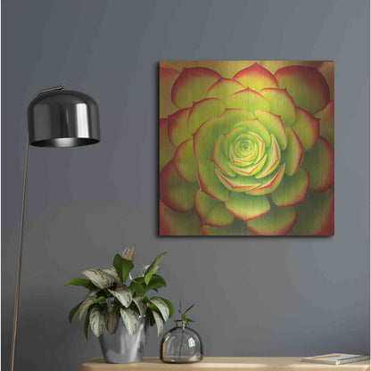 Luxe Metal Art 'Fiery Succulent' by Jan Bell Metal Wall Art,24x24