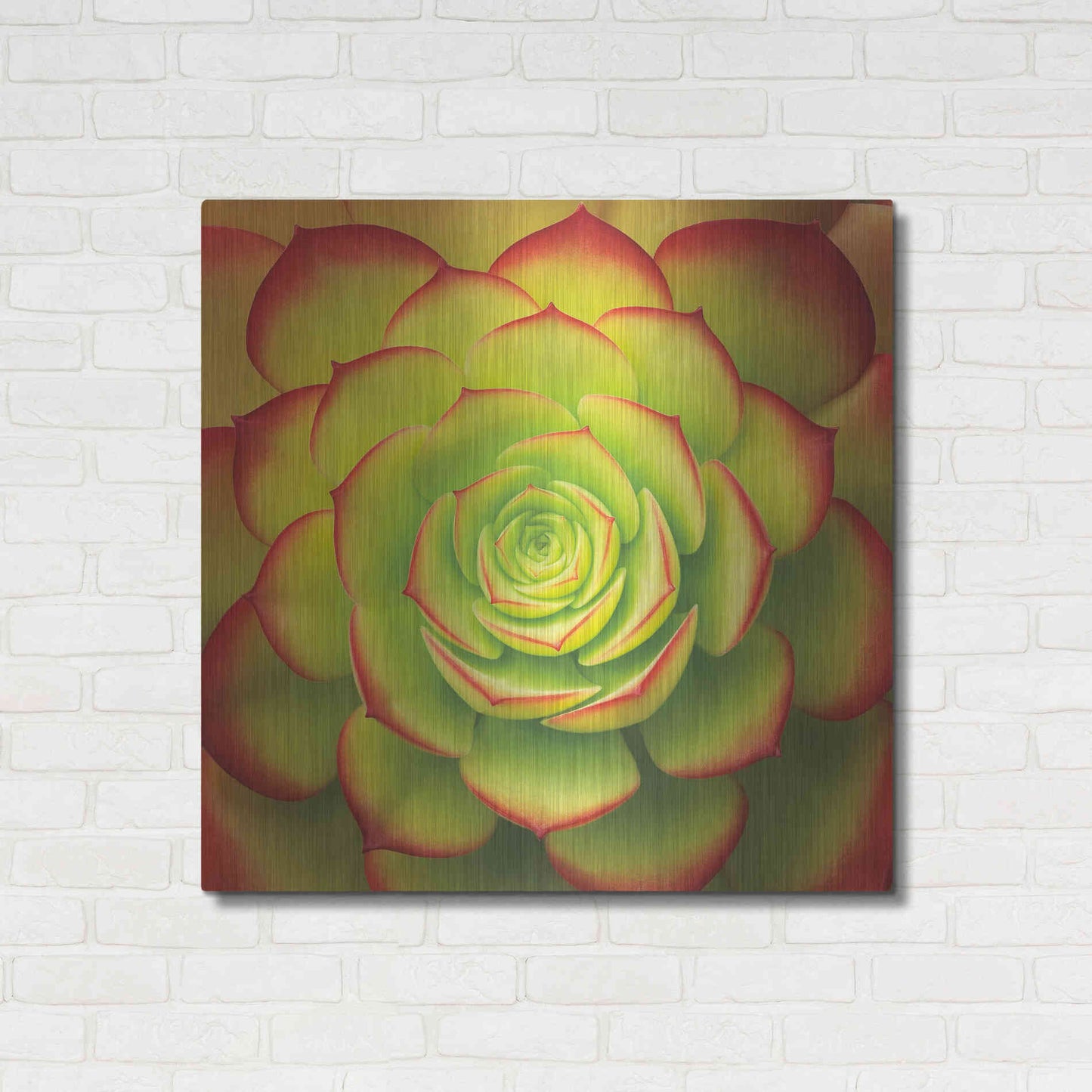 Luxe Metal Art 'Fiery Succulent' by Jan Bell Metal Wall Art,36x36