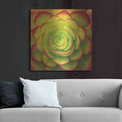 Luxe Metal Art 'Fiery Succulent' by Jan Bell Metal Wall Art,36x36