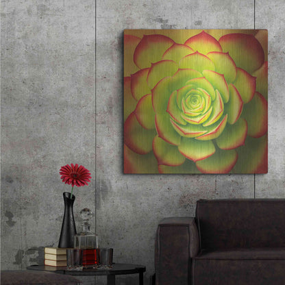 Luxe Metal Art 'Fiery Succulent' by Jan Bell Metal Wall Art,36x36