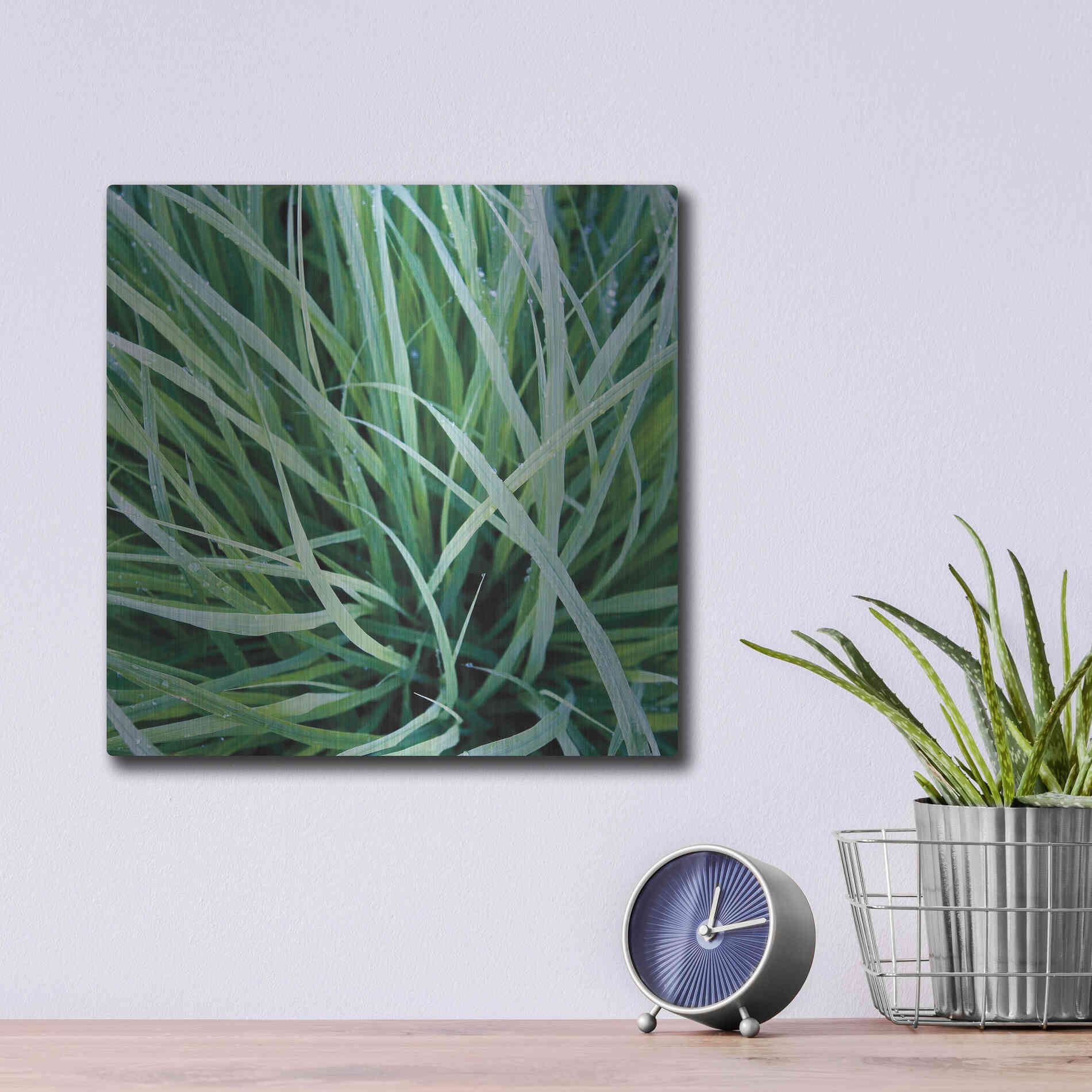 Luxe Metal Art 'Grass with Morning Dew' by Jan Bell Metal Wall Art,12x12