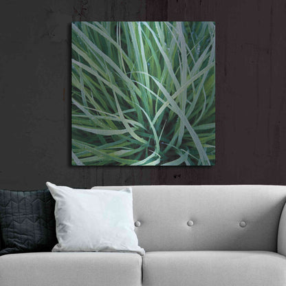 Luxe Metal Art 'Grass with Morning Dew' by Jan Bell Metal Wall Art,36x36