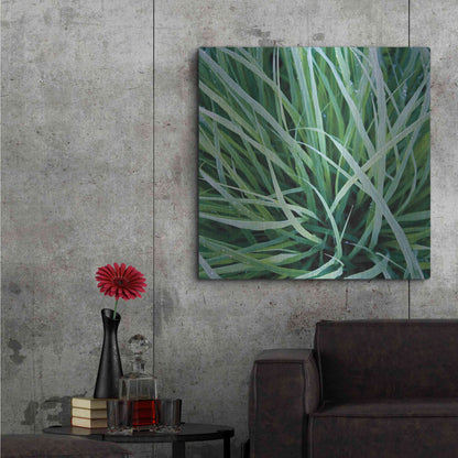 Luxe Metal Art 'Grass with Morning Dew' by Jan Bell Metal Wall Art,36x36