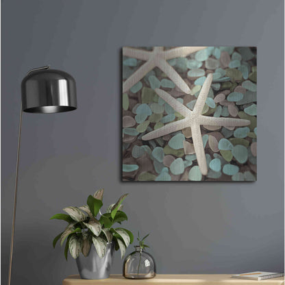 Luxe Metal Art 'Aquatic 1' by Alan Blaustein Metal Wall Art,24x24