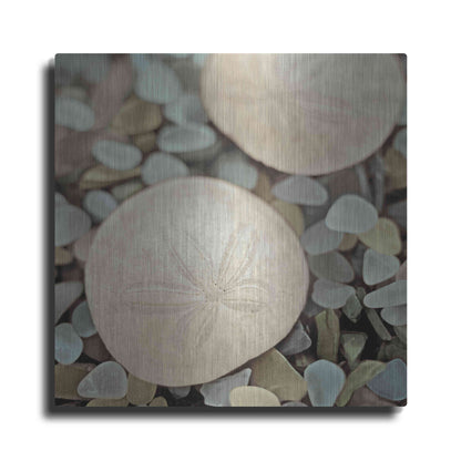 Luxe Metal Art 'Aquatic 2' by Alan Blaustein Metal Wall Art