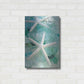 Luxe Metal Art 'Seaglass 1' by Alan Blaustein Metal Wall Art,16x24