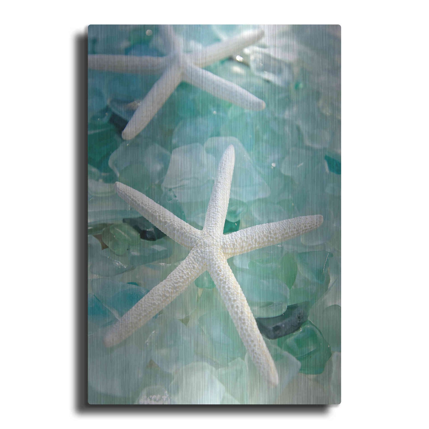 Luxe Metal Art 'Seaglass 1' by Alan Blaustein Metal Wall Art