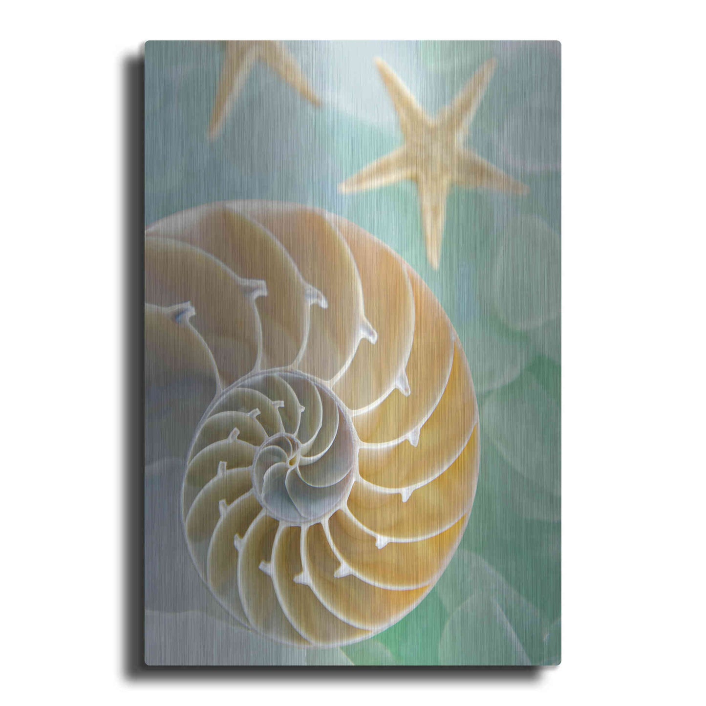 Luxe Metal Art 'Seaglass 2' by Alan Blaustein Metal Wall Art