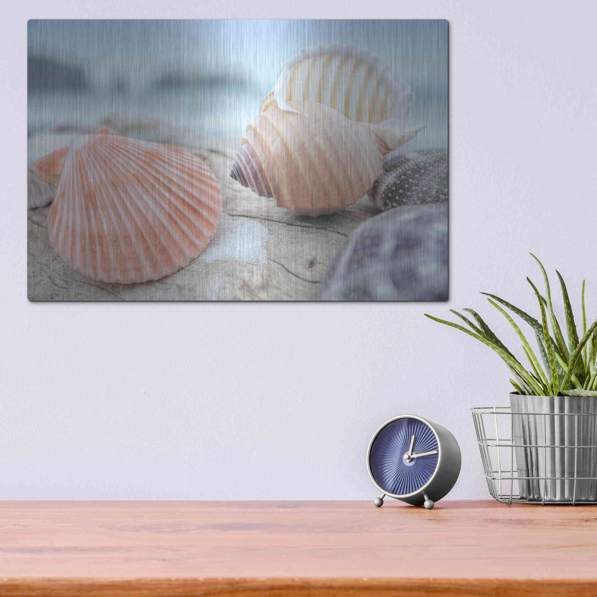 Luxe Metal Art 'Crescent Beach Shells 10' by Alan Blaustein Metal Wall Art,16x12