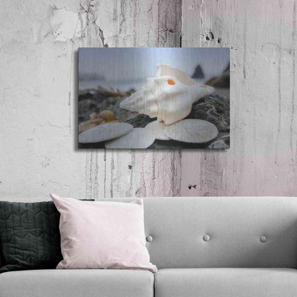 Luxe Metal Art 'Crescent Beach Shells 11' by Alan Blaustein Metal Wall Art,36x24