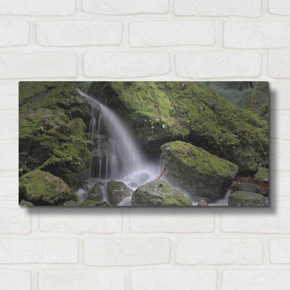 Luxe Metal Art 'Canyon Falls No. 13' by Alan Blaustein Metal Wall Art,24x12