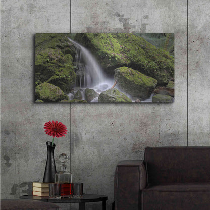 Luxe Metal Art 'Canyon Falls No. 13' by Alan Blaustein Metal Wall Art,48x24