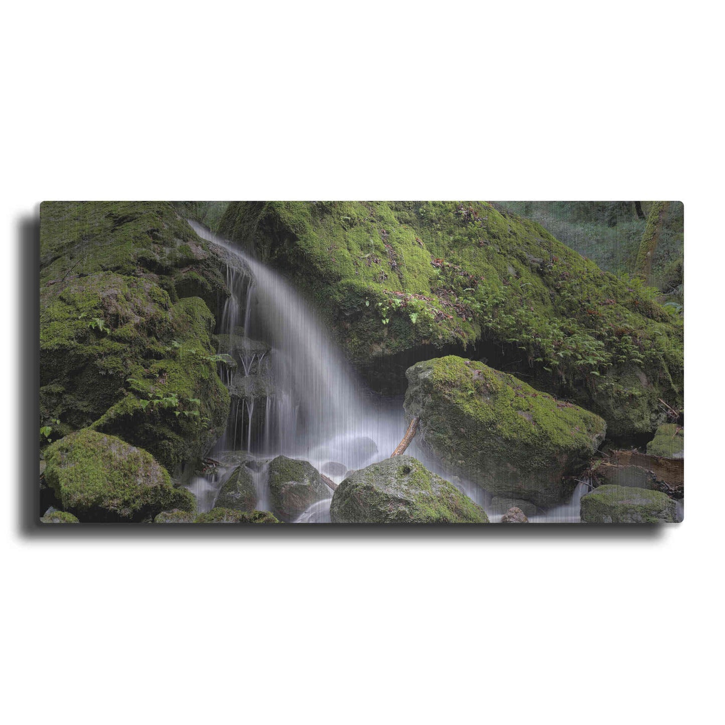 Luxe Metal Art 'Canyon Falls No. 13' by Alan Blaustein Metal Wall Art