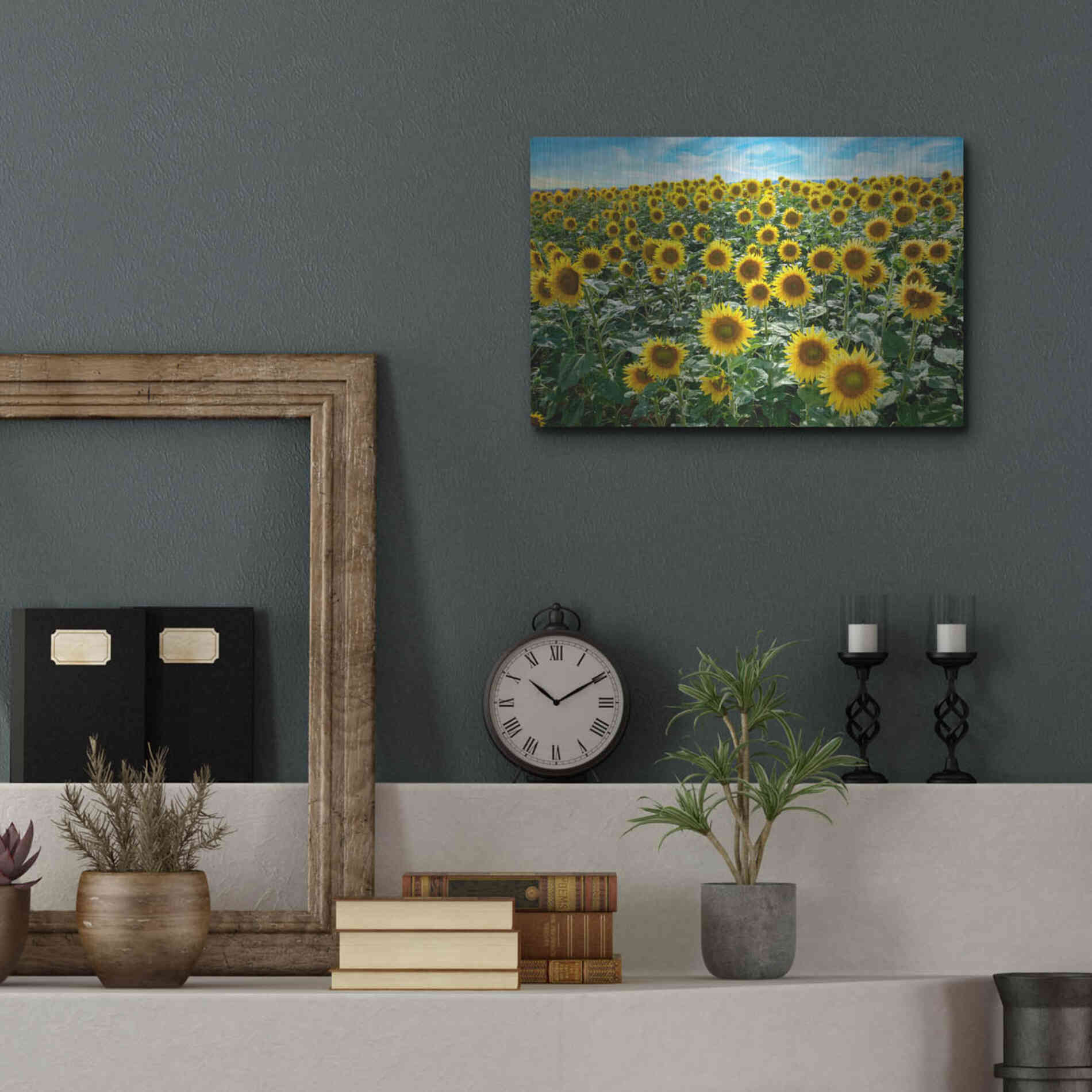 Luxe Metal Art 'Cortona Sunflowers 1' by Alan Blaustein Metal Wall Art,16x12