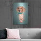 Luxe Metal Art 'The Wiener Dog' by Barruf Metal Wall Art,24x36