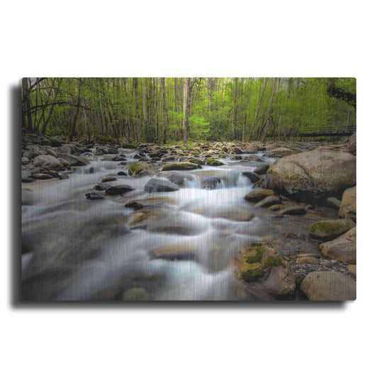 Luxe Metal Art 'Below the Bridge' by Daniel Burt Metal Wall Art