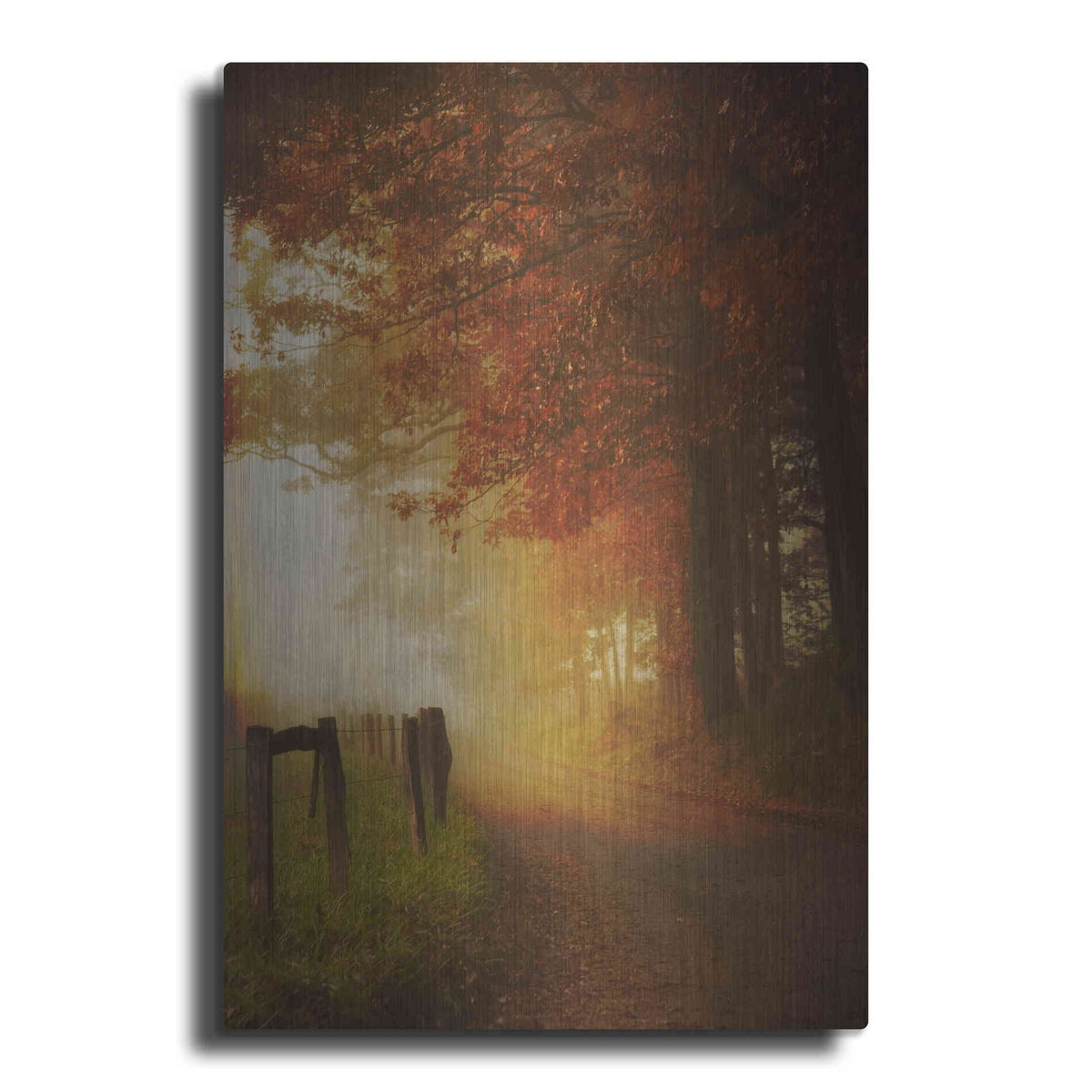 Luxe Metal Art 'Come to the Light' by Daniel Burt Metal Wall Art