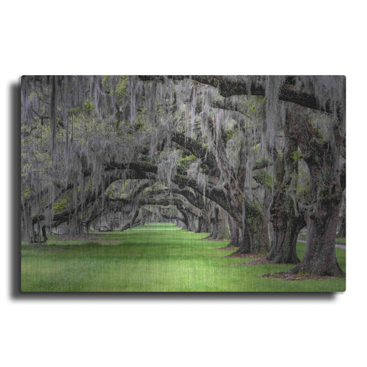 Luxe Metal Art 'Hanging to the Left' by Daniel Burt Metal Wall Art