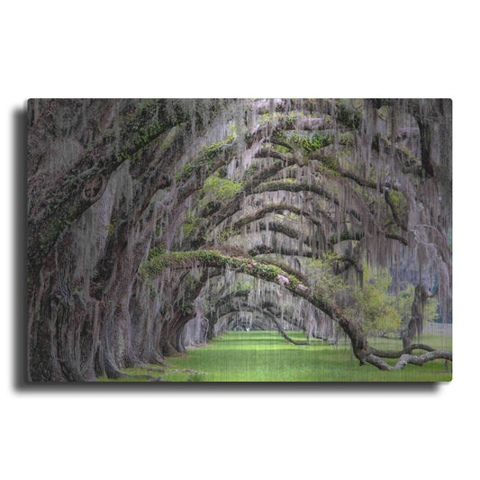 Luxe Metal Art 'Hanging to the Right' by Daniel Burt Metal Wall Art