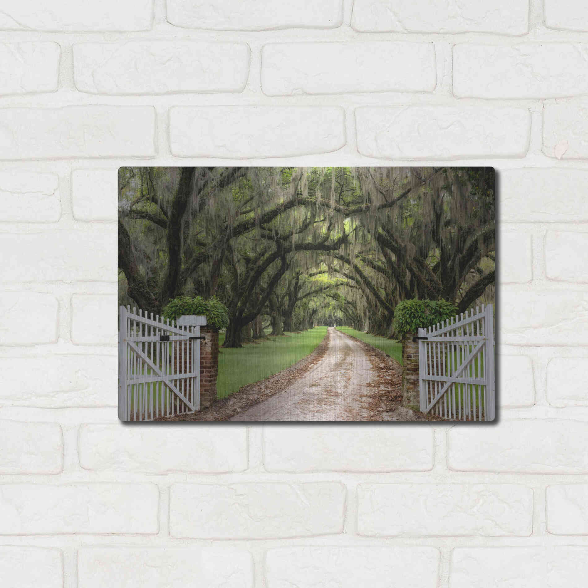 Luxe Metal Art 'Plantation Road' by Daniel Burt Metal Wall Art,16x12