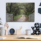 Luxe Metal Art 'Plantation Road' by Daniel Burt Metal Wall Art,16x12