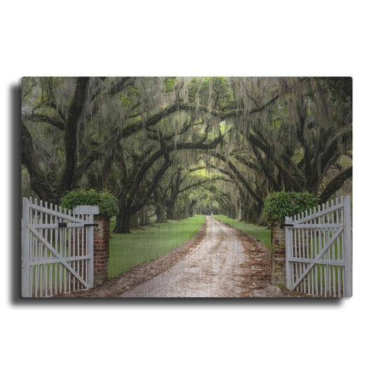 Luxe Metal Art 'Plantation Road' by Daniel Burt Metal Wall Art