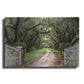 Luxe Metal Art 'Plantation Road' by Daniel Burt Metal Wall Art