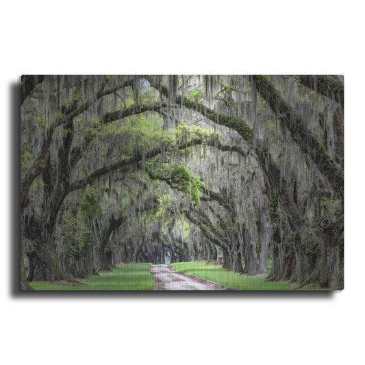 Luxe Metal Art 'The Old South' by Daniel Burt Metal Wall Art