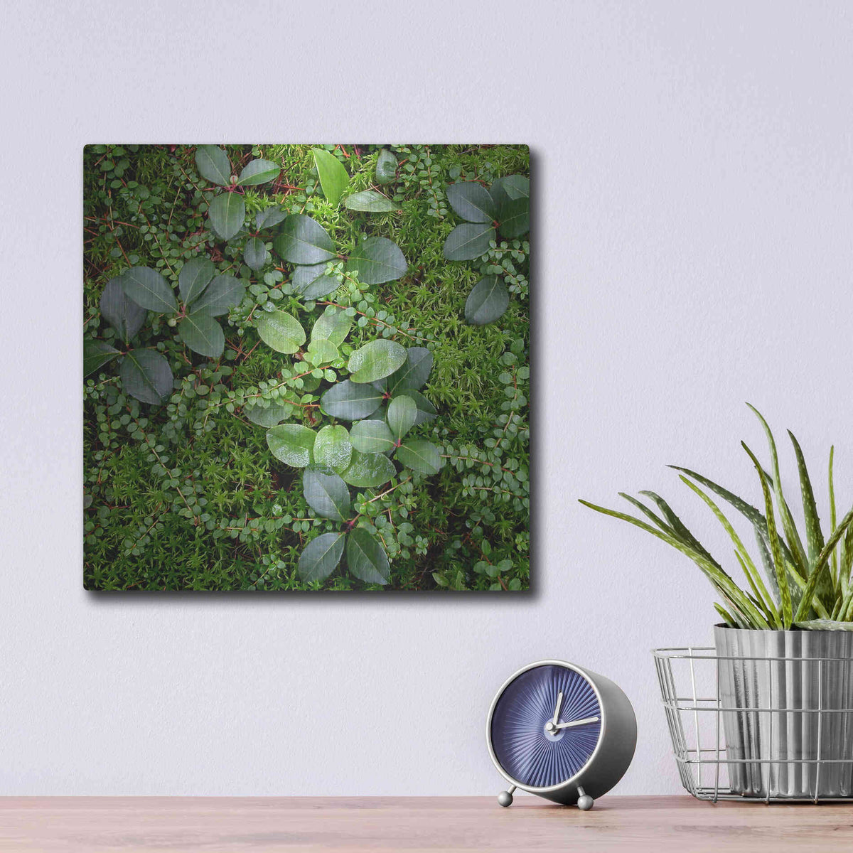 Luxe Metal Art 'Forest Floor Detail' by Jan Bell Metal Wall Art,12x12