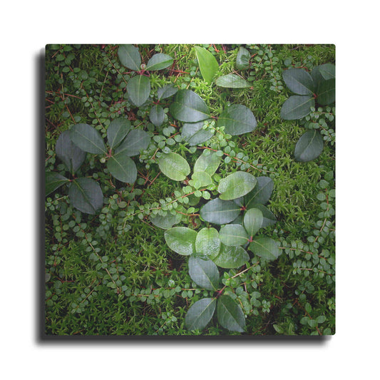 Luxe Metal Art 'Forest Floor Detail' by Jan Bell Metal Wall Art