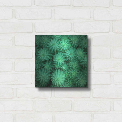 Luxe Metal Art 'Sea Green' by Jan Bell Metal Wall Art,12x12