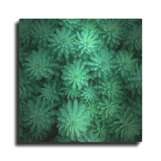 Luxe Metal Art 'Sea Green' by Jan Bell Metal Wall Art