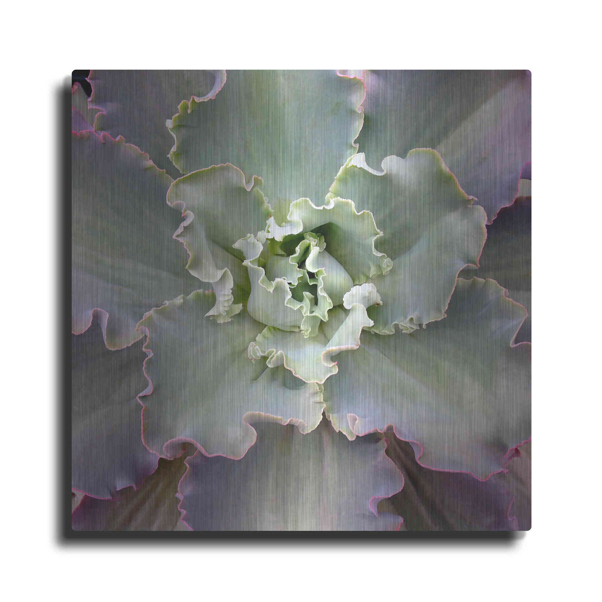 Luxe Metal Art 'Soft Petals' by Jan Bell Metal Wall Art