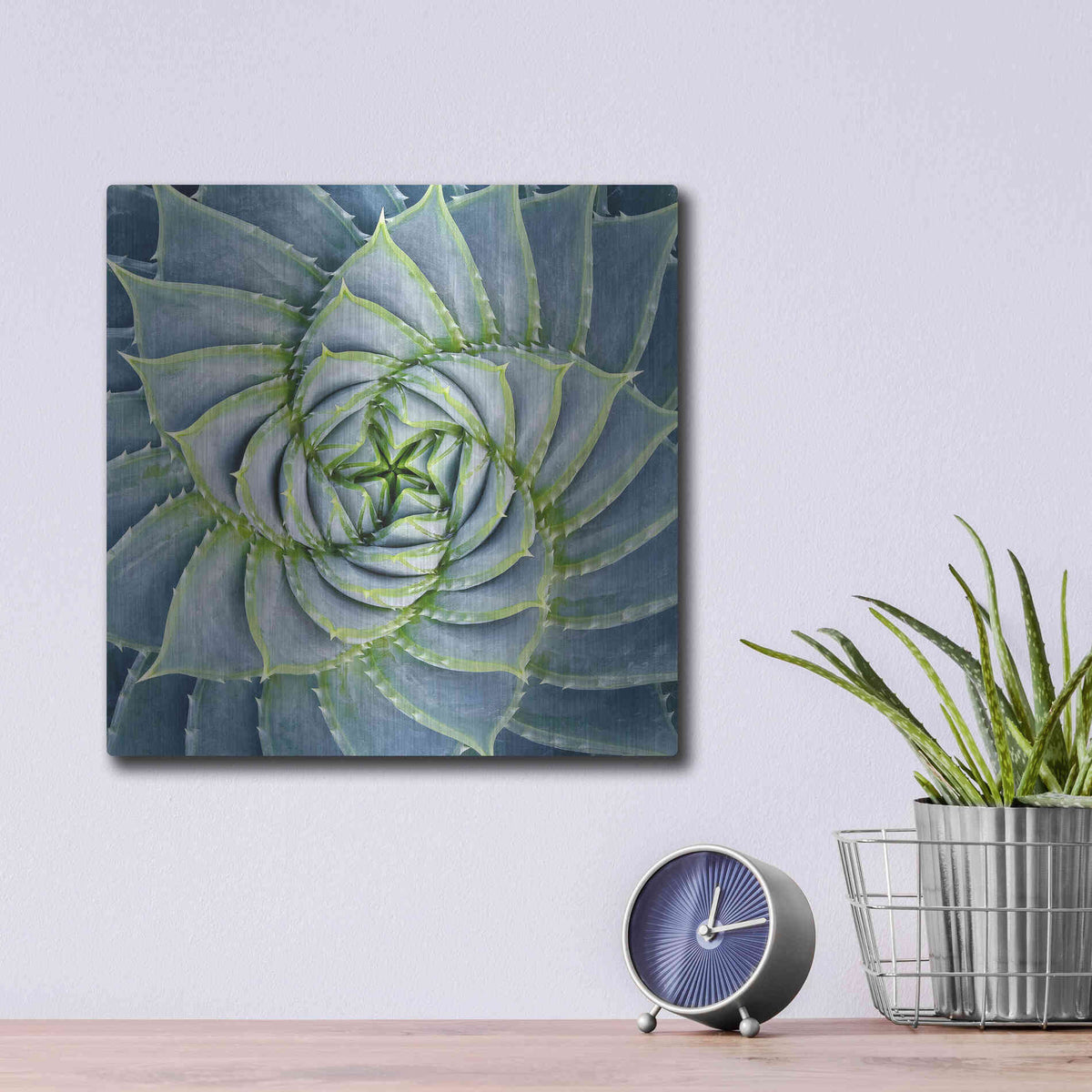 Luxe Metal Art 'Spiral Succulent' by Jan Bell Metal Wall Art,12x12
