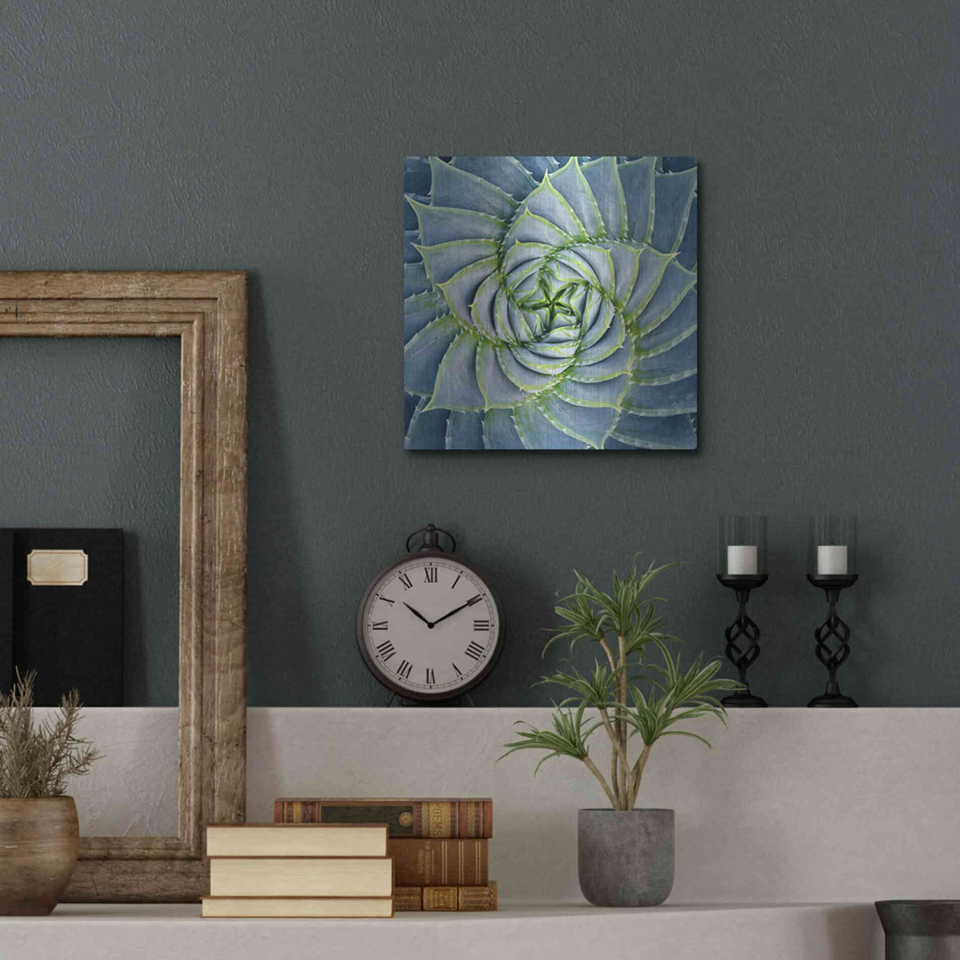 Luxe Metal Art 'Spiral Succulent' by Jan Bell Metal Wall Art,12x12