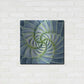 Luxe Metal Art 'Spiral Succulent' by Jan Bell Metal Wall Art,24x24