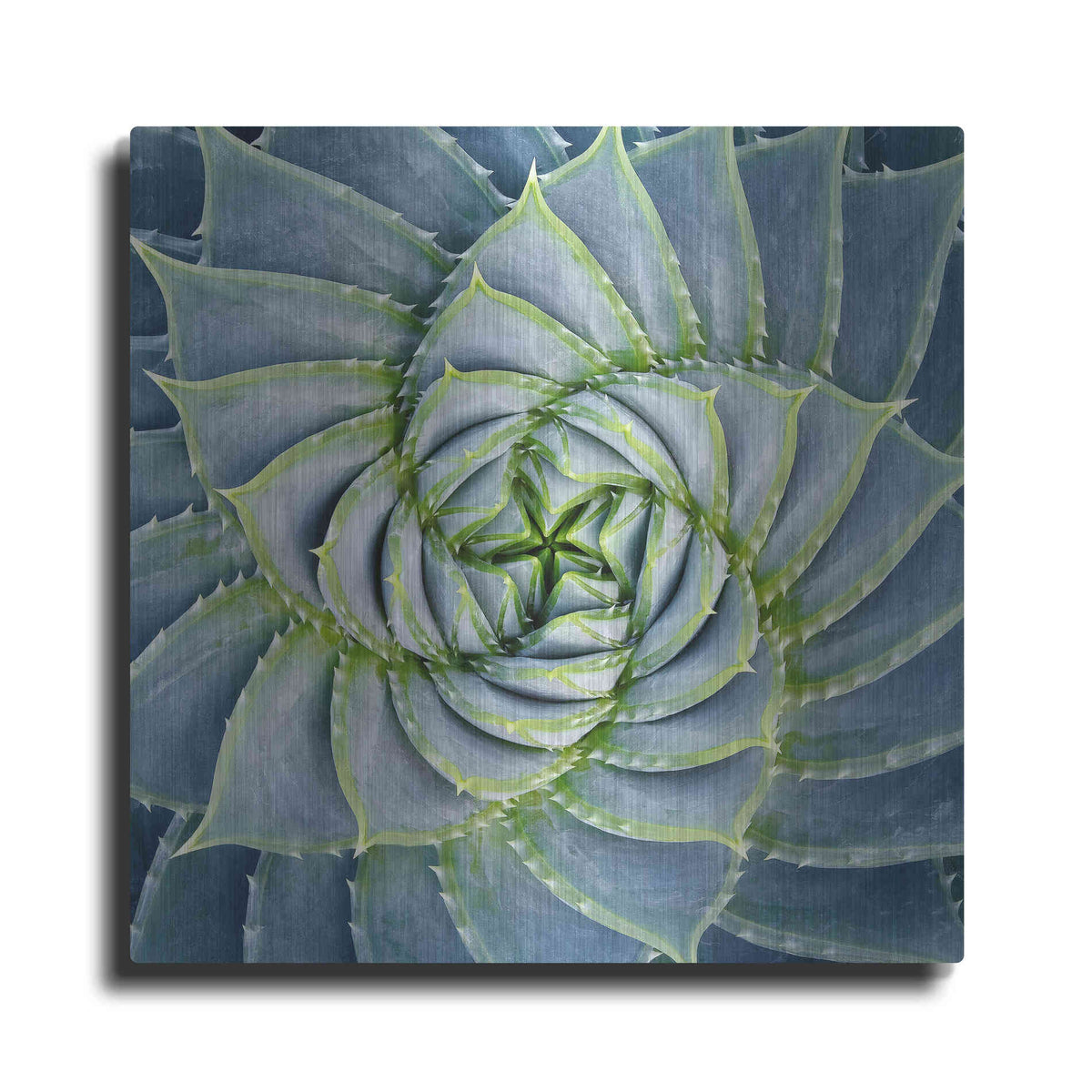 Luxe Metal Art 'Spiral Succulent' by Jan Bell Metal Wall Art