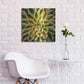 Luxe Metal Art 'Striped Succulent' by Jan Bell Metal Wall Art,24x24