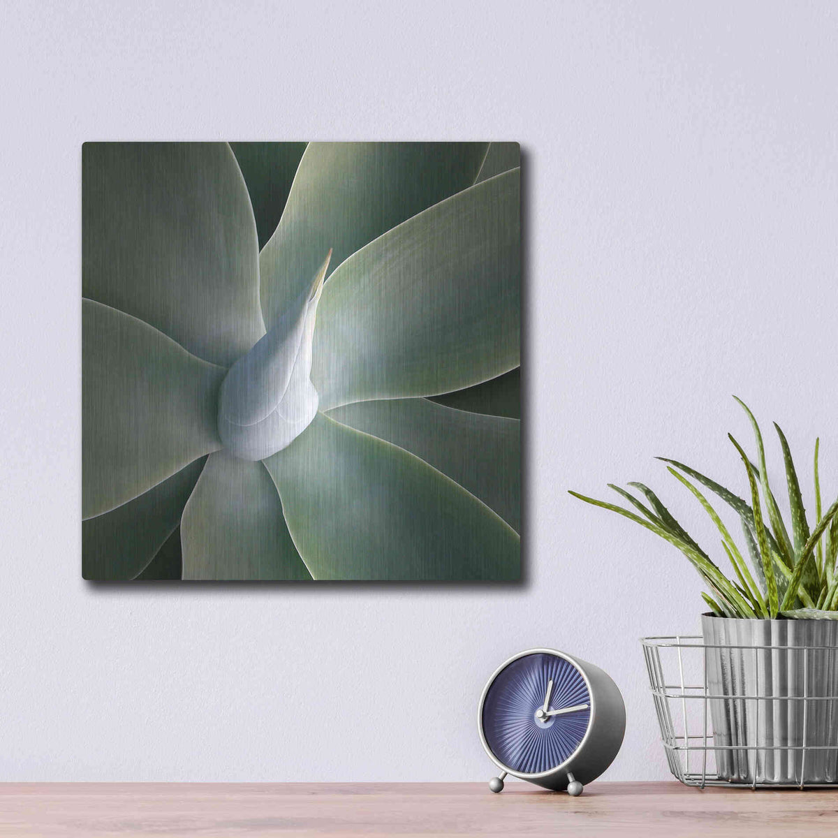 Luxe Metal Art 'Succulent Tip' by Jan Bell Metal Wall Art,12x12