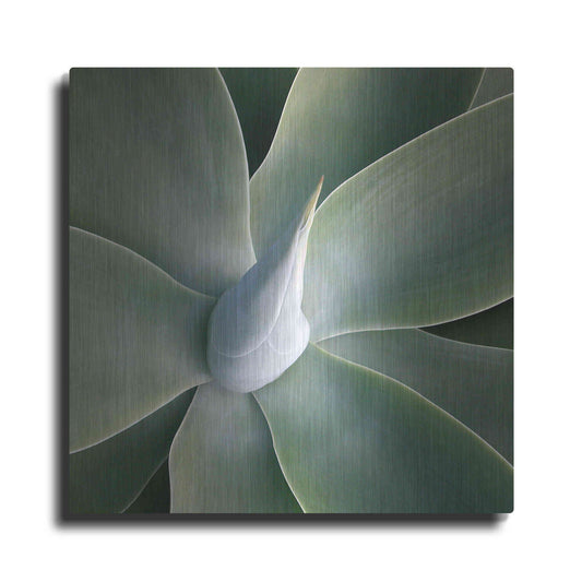 Luxe Metal Art 'Succulent Tip' by Jan Bell Metal Wall Art